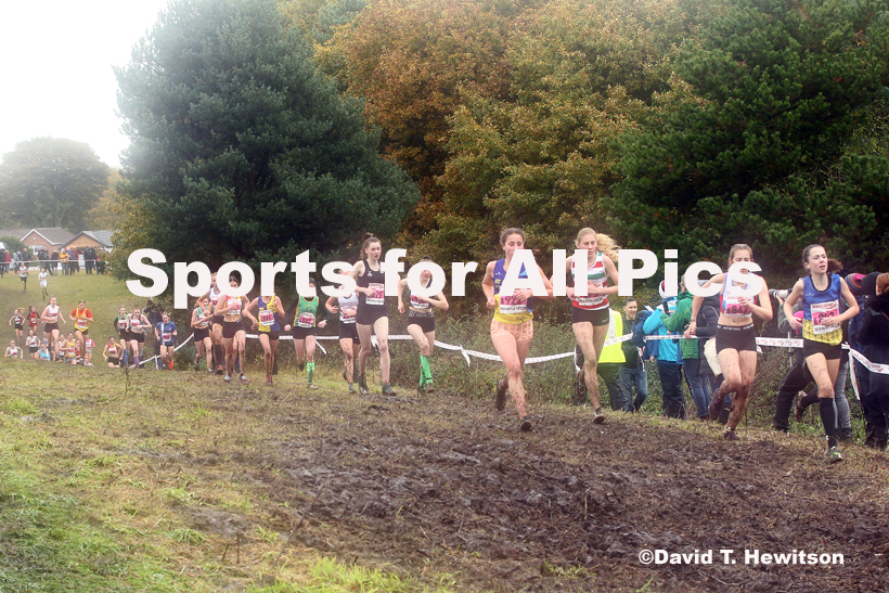 Girls under-15s, National Cross Country Relay Champs., Berry Hill Park, Mansfield.  Photo: David T. Hewitson/Sports for All Pics